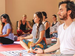 26 Day 200-Hour Affordable Online Yoga Teacher Training with Rishikesh Yog Nirvana