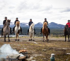  7 Jour Semaine à Cheval en Islande : Découvrez le Cœur Sauvage d’Östersund, dans le Nord de la Suède - Photo 5