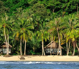 10 Day Surf Trip in the Most Consistent Region of the Mentawai Islands - Photo 4
