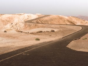Terrain: Desert