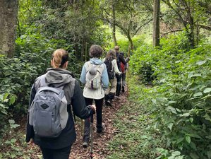 10 Day Gorilla Trekking Yoga Safari in Uganda