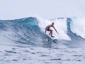 8 Day Stay and Surf Camp for Beginner or Intermediate Surfers in Thimarafushi, Maldives
