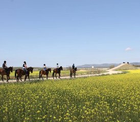 8 Day / 7 Night Horse Riding Experience in a Family Cortijo, Mollina, Malaga, Spain - Photo 4
