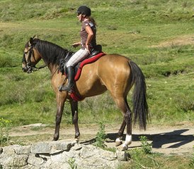 7 Day Crystalline Waters of Gredos Horse Riding Tour in Spain - Photo 2