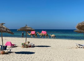 Djerba Retraites en Reizen