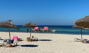 Djerba Retraites en Reizen