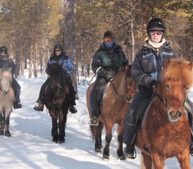 4 Tage Winter-Reiturlaub in Kiruna, Schweden - Photo 2