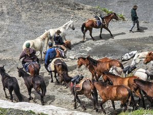 8 Day Horse Riding Tour with Herd Migration Process from Tusheti to Vashlovani in Georgia