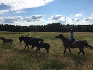8-Daagse "Natura" Paardrijvakantie in Karpno, Polen