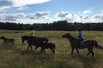 8 Tage „Natura“ Reiturlaub in Karpno, Polen