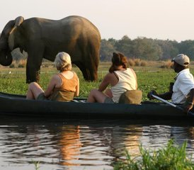 44 Tage Tamarind-Kanu-Safari in Simbabwe - Photo 1