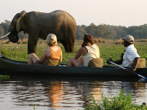 4 Days Tamarind Canoe Safari in Zimbabwe