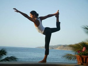 4 Tage Abschalten um Wieder zu Verbinden Erfrischender Zen Den Yoga Retreat mit Meditation in Boca Raton, Florida