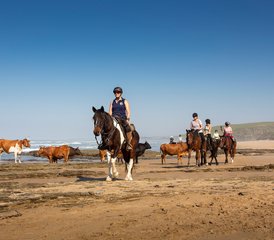 829 Day Working Riding Holiday; Live Like a Local, Connect with Horses on the Wild Coast South Africa - Photo 1
