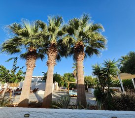 15-Daagse Ontkoppel- en Herverbind Wellness Leefstijl Retreat in Boca Raton, Florida, Verenigde Staten - Photo 5