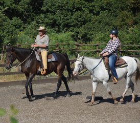 8 Day Natural Western Horse Riding Holiday in Castell'Azzara, Tuscany - Photo 3