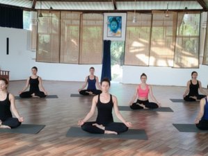 30-tägiger 300-stündiger Yoga-Lehrer-Ausbildungskurs in Rishikesh, Indien – Zertifizierung für Fortgeschrittene