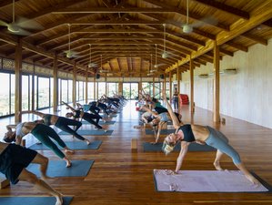 8 Day Yoga Retreat in Bodhi Tree Yoga Resort, Nosara, Costa Rica ...