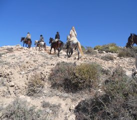 8 jours de randonnée équestre Argan au Maroc - Photo 2