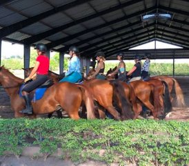 4-Daagse Privé Paardrijlessen: Paardrijvakantie in Guácima, Alajuela, Costa Rica - Photo 2