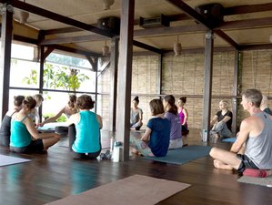 6 Day Fitness and Yoga Retreat in Koh Samui, Surat Thani