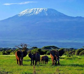 410 días de safari clásico en Kenia - Photo 1