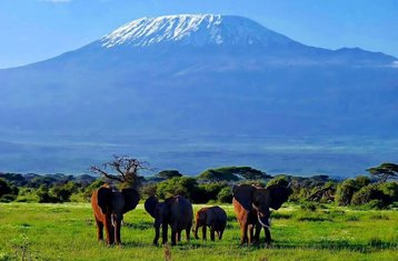 10-Tage Klassische Safari in Kenia