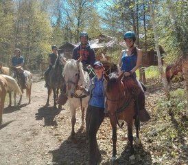 3 Day Algonquin by Horseback: Trail Riding through Algonquin Park in Ontario, Canada - Photo 5