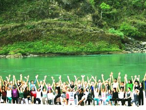 56 Day 500-Hour Hatha, Ashtanga Yoga Teacher Training With Sound Healing in Rishikesh, India