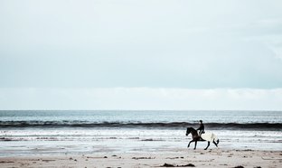 Thurso Retiros y Viajes