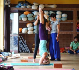 25-Daagse 200-Uur Yoga Docentenopleiding in Rishikesh, India - Photo 2