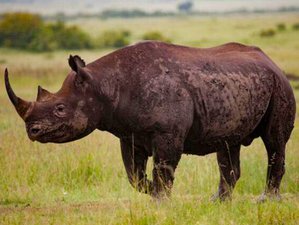 6 Day Joining Group Tarangire, Serengeti, and Ngorongoro Camping Safaris in Tanzania