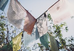 Festivales de yoga Retiros de yoga