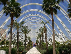 4 Day Palmtree Retreat: Life Coaching Weekend in Valencia