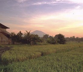 53 Day Return to Balance Private Retreat in Bali, Indonesia - Photo 1