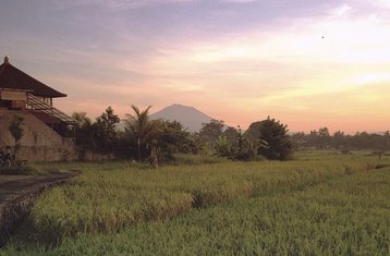 3 Tage Zurück zur Balance Privates Retreat in Bali, Indonesien