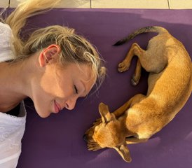 4 Tage Yoga-Retreat zwischen Meerblick und Welpenliebe – Zeit für dich in Peyia, Zypern - Photo 4