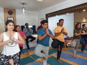 30-Daagse 400-urige 1-op-1 Onine Yoga Docentenopleiding voor Halfgevorderden