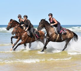 28 Day Atlantic Coast Trail Horseback Riding Tour in Mimizan, Landes, France - Photo 1