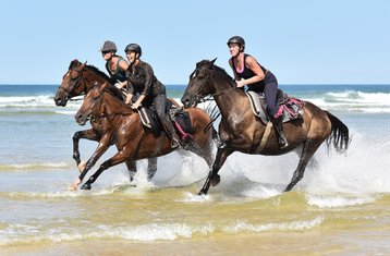 8 Tage Atlantikküsten Trail-Reittour in Mimizan, Landes, Frankreich