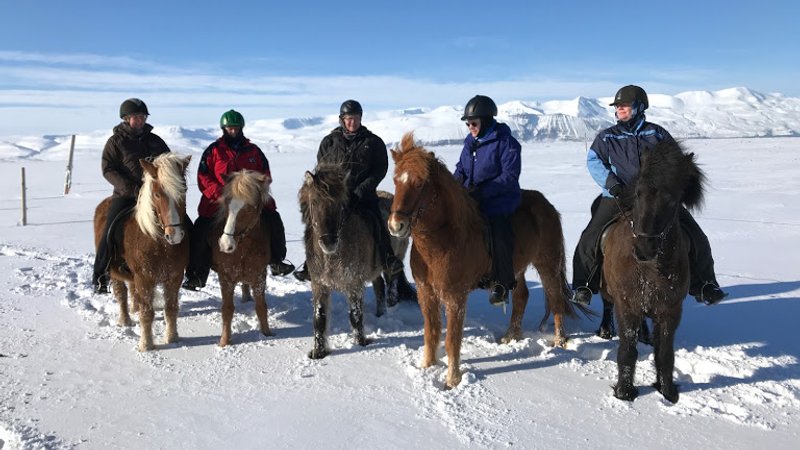 4 Day Saltvík Comfort Horse Riding Holiday in Húsavík, Norðurþing