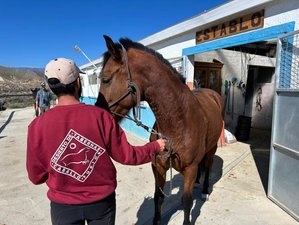 6 Day Pack “A Landscape at Each Gallop” Horse Riding Holidays in Almería, Spain