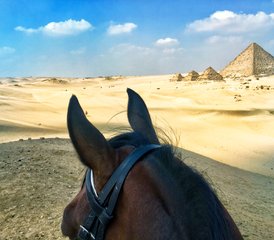 6 Tage Multi-Abenteuer-Reitmini-Urlaub in Ägypten - Photo 2