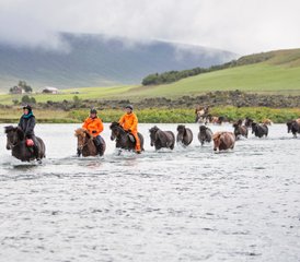 06 Tage Wonders of Lake Mývatn Northern Exposure Reittour in Nordisland, Island - Photo 1