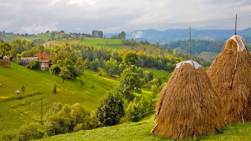 8 Day Transylvania's Heritage by Bike Tour in Romania