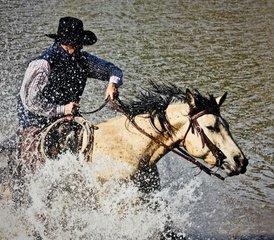 8 jours équitation et séjour ranch authentique dans le comté de Crook, Wyoming, USA - Photo 3