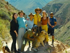 7 Day Essential Wellness Retreat in Sacred Valley, Peru