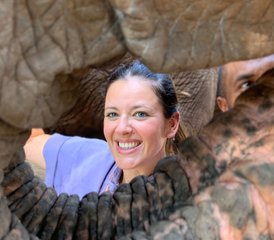 77 jours en stage de yoga, à la rencontre de soi et des éléphants en Thaïlande du Nord - Photo 1