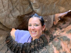 7 jours en stage de yoga, à la rencontre de soi et des éléphants en Thaïlande du Nord