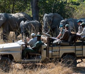 4 días de safari de lujo en el Parque Nacional de Kafue, Zambia - Photo 3